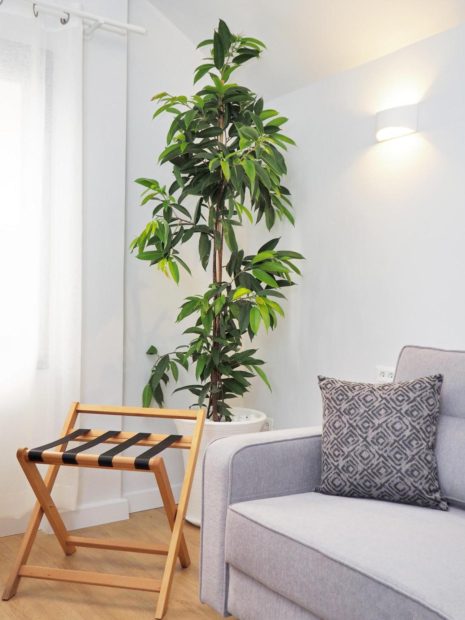 Times Elegant Rooms Ermoúpoli Eksteriør bilde