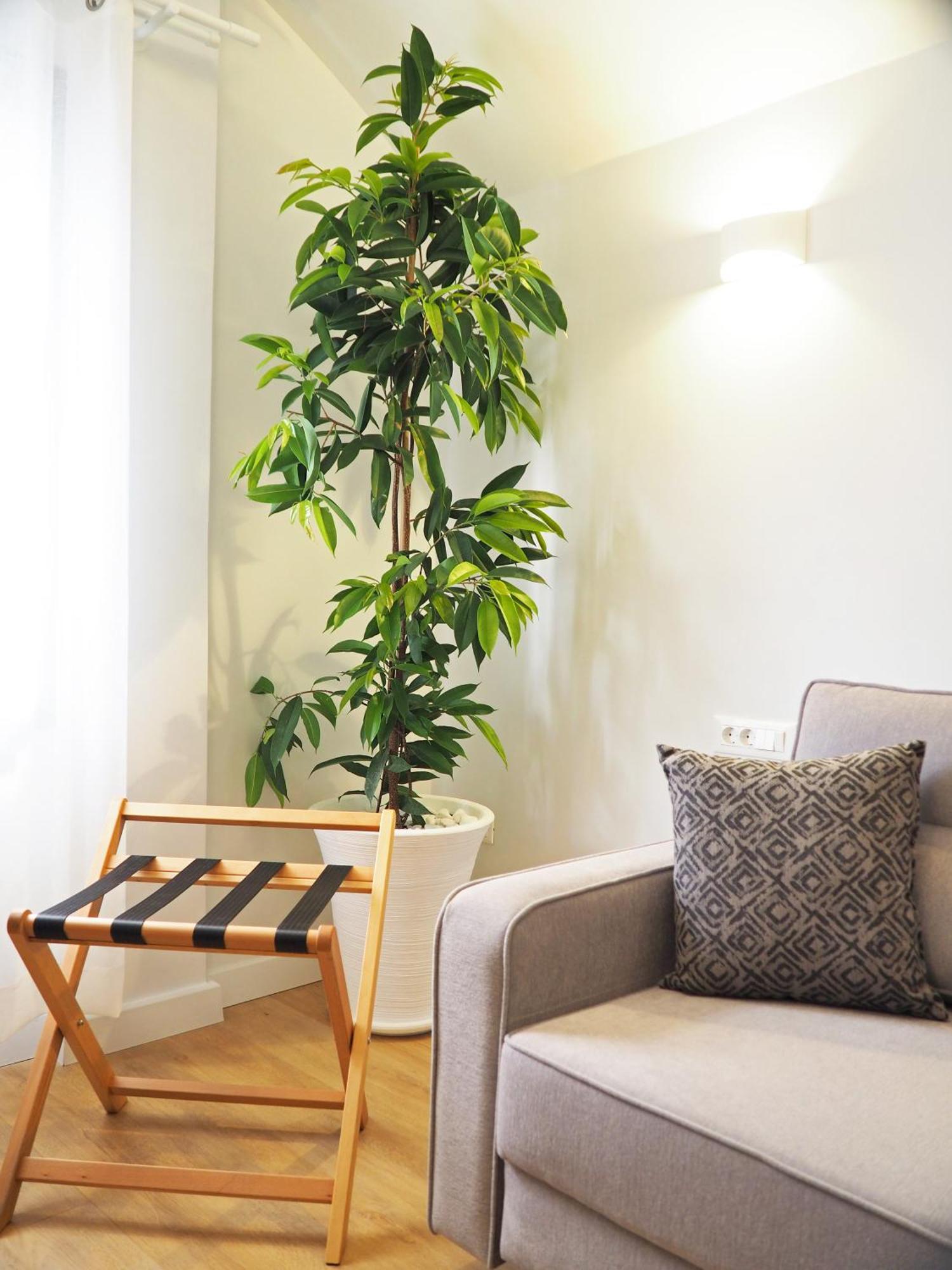 Times Elegant Rooms Ermoúpoli Eksteriør bilde